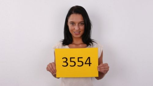 czechcasting scene