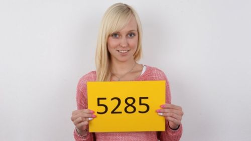 czechcasting scene