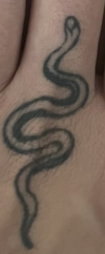 Snake on left hand
